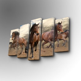 Wallity Cuadro Decorativo en Lienzo 5 Piezas 5PUC-139 Multicolor
